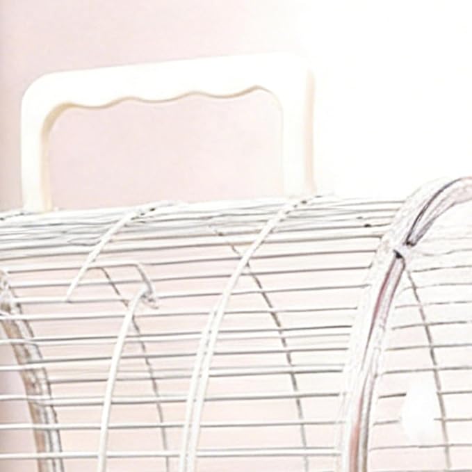 Bird Travel Carrier Box – Standing Perch Transparent Window, Sleek, Cage Parakeet Canary Cockatiel, Conure Bearded Dragon | Parakeet Canary Cockatiel Conure Bearded Dragon Sturdy Ergonomic