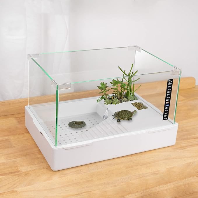 Scratch-Resistant Glass Turtle Tank (15.7×11.8×10 Inch) with Water Filter - Durable Reptile Habitat for Aquatic/Terrestrial Pets, Baby Turtles & Fish | Anti-Scratch Clear Terrarium Aquarium Combo