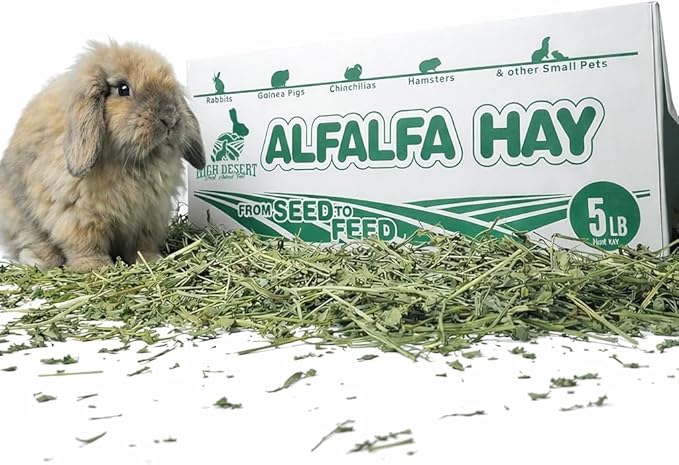 High Desert Alfalfa Hay, Protein Rich Soft Leaf Food for Young Growing Animals, Natural Rabbit Food and Guinea Pig Hay, Supports Digestive Health, Small Pet Supplies, Fresh Hand Packed 5 Lb Box