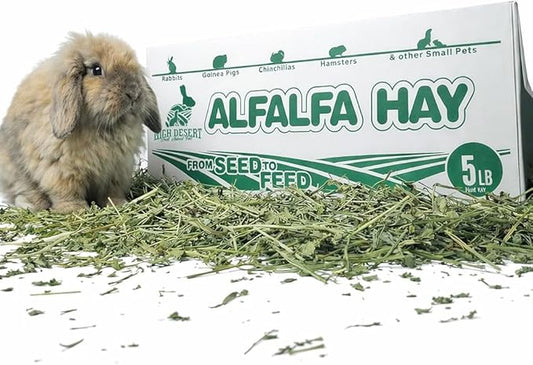 High Desert Alfalfa Hay, Protein Rich Soft Leaf Food for Young Growing Animals, Natural Rabbit Food and Guinea Pig Hay, Supports Digestive Health, Small Pet Supplies, Fresh Hand Packed 5 Lb Box