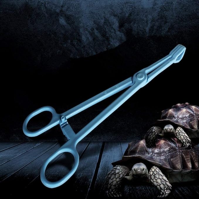 19cm/24cm Reptile Terrarium Plastic Tweezers Tongs Feeding Tool for Snakes Lizards Worm - 24cm 24cm