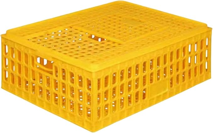Chicken Carrier Box for Safe Transport of Hens and Pigeons, 75x55x19cm