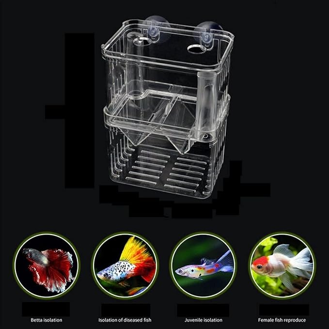 Fish Tabk Double Layer Clear Fish Farming Isolation Aquarium Planting Fish Tank Incubator Fish House Home Ecological Landscape Cool Fish Tank(Medium)