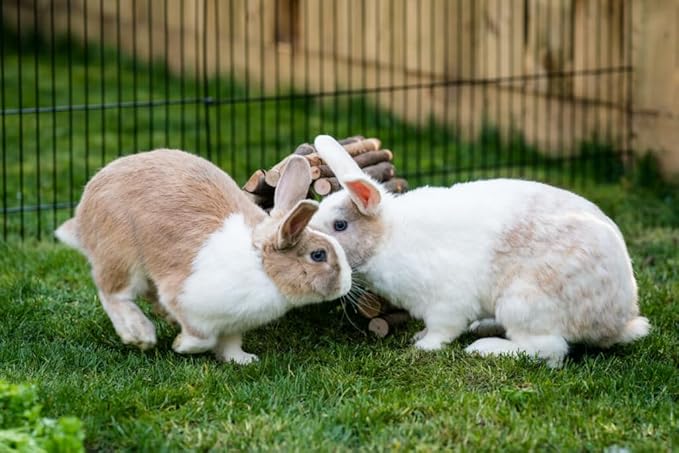 New Country Organics Rabbit Food Pellets | Essential Bunny Supplies | Corn-Free and Soy-Free | 15% Protein Rabbit Feed for Healthy Hoppers | Certified Organic and Non-GMO | 40 lbs