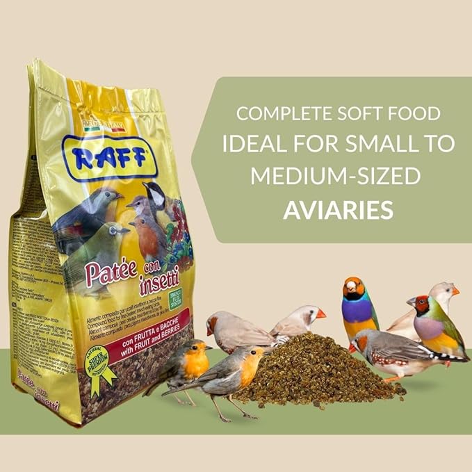Raff Patee with Insects 400g – Fruit and Berries Soft Food for Canaries, Finches, and Exotic Birds - High Protein Breeding and Molting Diet – Easy to Digest and Versatile Use