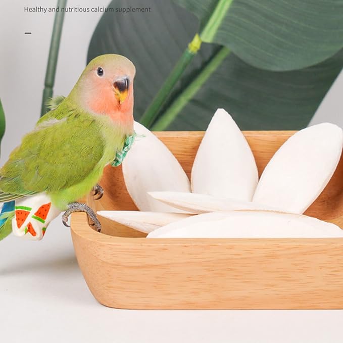 Natural Cuttlebone for Birds Parakeets Canaries Cockatiels Small Conures Mynahs Toucans African Greys All Parrots Snails Totoise (7-7.5 inch,6PCS)