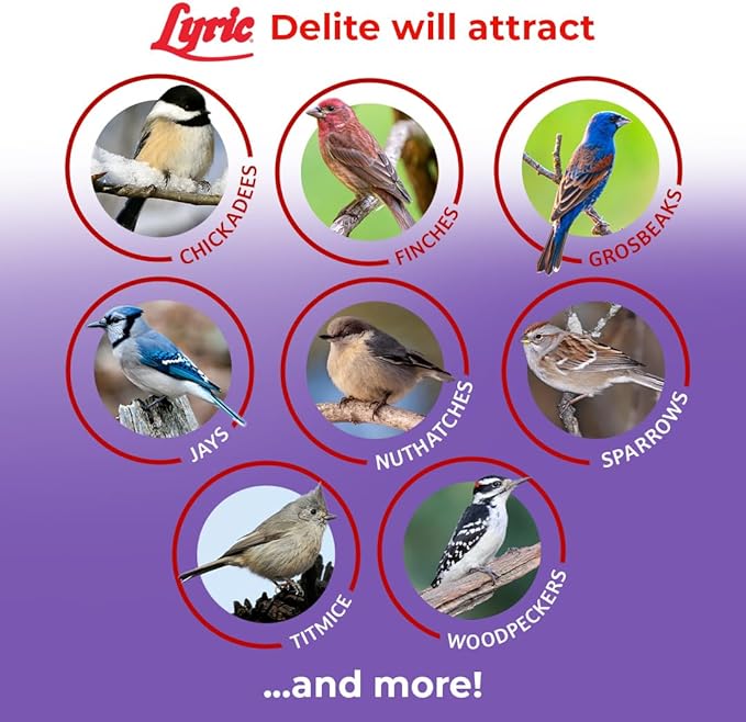 Lyric Delite Wild Bird Seed for Outside Feeders - No Waste Bird Food, Nuts & Seeds Mix, Attracts Buntings, Chickadees & Finches, 10 lb (Pack of 2-5 lb Bags)