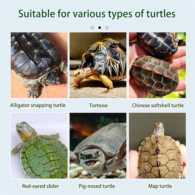 60ML Turtle Eyes Care Solution-Natural Formula for All Turtle Species