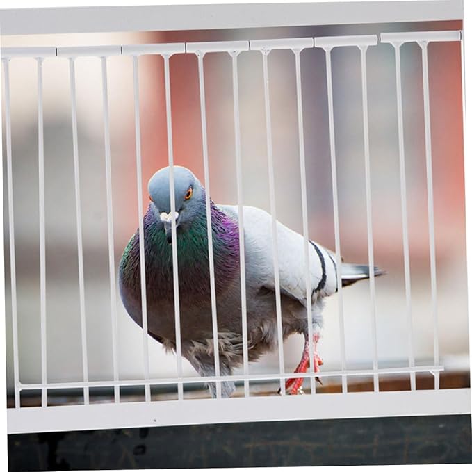 BESPORTBLE 2pcs Pigeon Cage Door for Aviary Bird Cage Accessories Bar Easy to Install Secure Design for Pigeon Safety