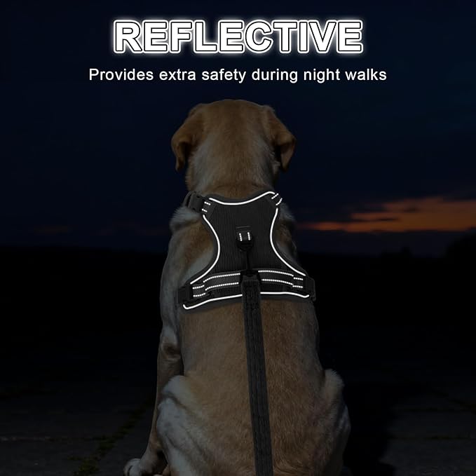 BEAUTYZOO No Pull Dog Harness Large, Adjustable Dog Harness and Leash Set -Easy Wearing with 3 Buckles/Control Handle,No Choke Soft Padded Reflective Pet Vest for Training Walking Hiking,Grey XL