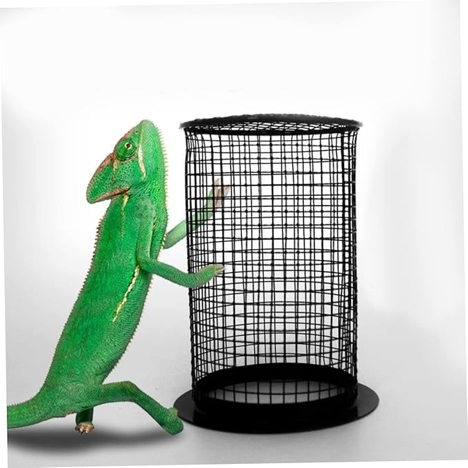 Ciieeo Round Reptile Scald Lamp Cover Small Design for Terrarium Prevents Burns for Snakes Lizards and Turtles