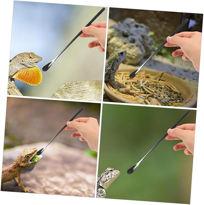 BESPORTBLE 3Pcs Reptile Food Spoon Set for Small Animals Portable Lizard Food Scoop Adjustable Feeding Tools for Bearded Dragons and Other Pets