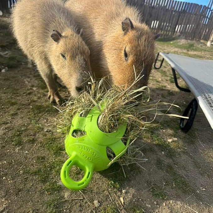Horsemen's Pride Jolly Hay Ball Stall Toy for Horses, Green
