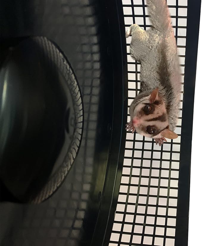 Exotic Nutrition Starter Package for Sugar Gliders - Includes Exercise Wheel, Food Assortment, Water Bottle, Food Dishes & Nest Pouch