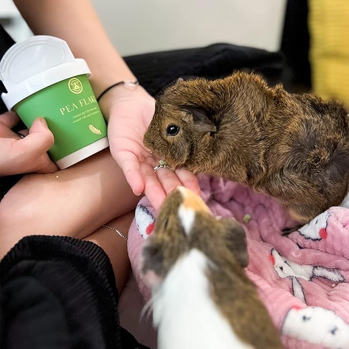 GuineaDad Organic Treat Sampler - Guinea Pig Herbal Treats - Guinea Pig Food in 6 Flavors - 6 Pack - Guinea Pig Treats Help with Bonding - High in Nutrition, No Preservatives, No Additives