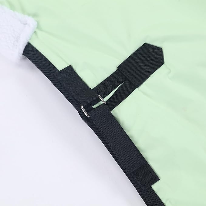 Foal/Mini Horse Size 30"-48" Waterproof & Breathable 300 Denier Winter Turnout Blanket with 150g Polyfill Grassgreen Medium