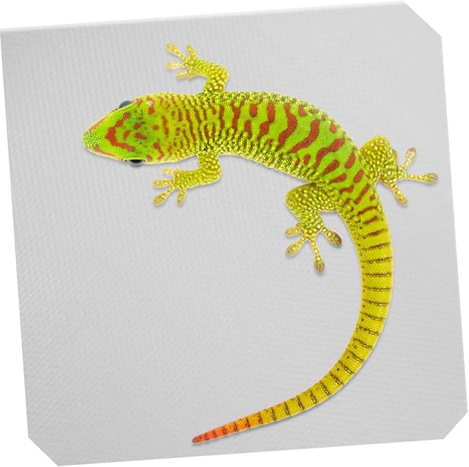Eva Reptile Carpet Terrarium Substrate Liner Bearded Dragon Bedding Lizard Tank Mat Snake Terrarium Accessories and Gentle