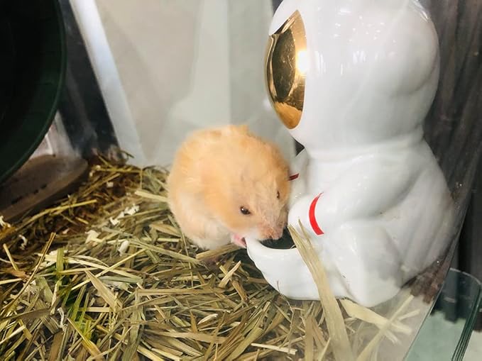 iHOO Hamster Water Bowl,Small Animals Automatic Drinking Bowl, Astronaut Shape Ceramic Bowls for Dwarf Syrian Hamsters Gerbils Mice Rats Rabbits(Astronaut,180ML)