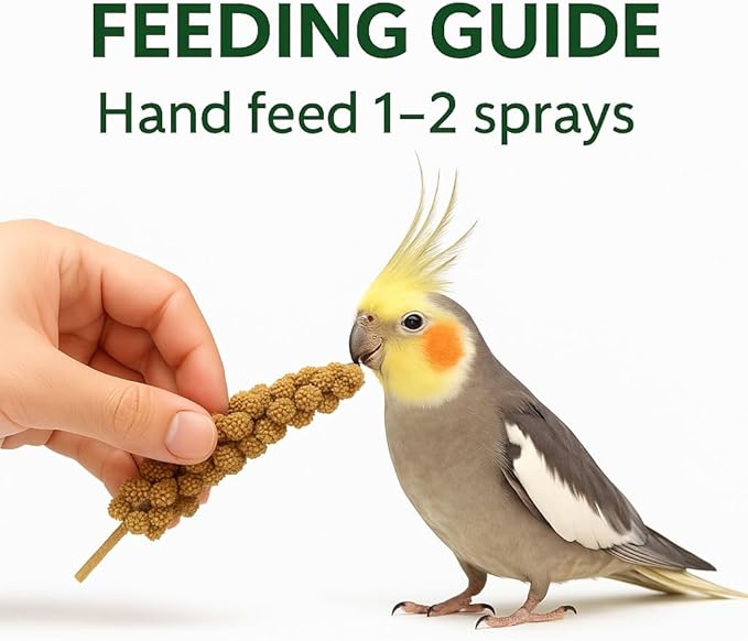 5lbs Economy & Special Spray Millet for Birds – GMO-Free, No Stems (Only Edible Tops) – 100% Natural Sun-Dried Foraging Treat for Cockatiels, Lovebirds, Parakeets, Finches & Canaries