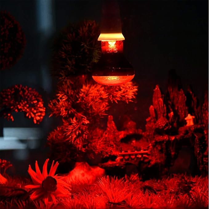 50W Infrared Heat Lamp Bulb E26 Base Red Basking Spot Light for Reptile Terrarium, Non-Disruptive Night Heater for Bearded Dragons Snake Turtle and Amphibian 2 Pack