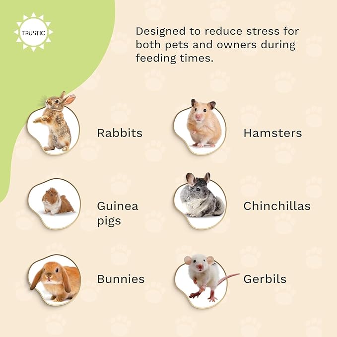 Hay and Food Feeder for Rabbit, Guinea Pig, Bunny, Chinchilla, Heavy Duty Metal Bin 5.5 x 5.5 x 7 inch (Pack of 2)