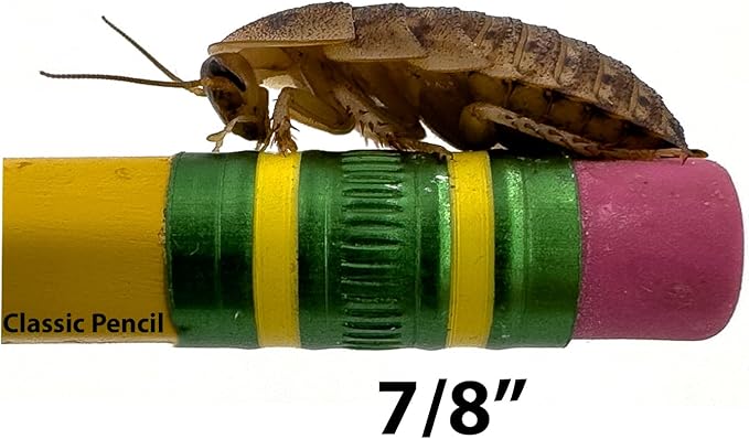 Dubia Roaches – Food for Reptiles, Tarantulas, Bearded Dragons, Geckos, and Insect-Eating Pets – High Protein, Easy to Digest, Healthier Alternative to Crickets (7/8", 400 Count)