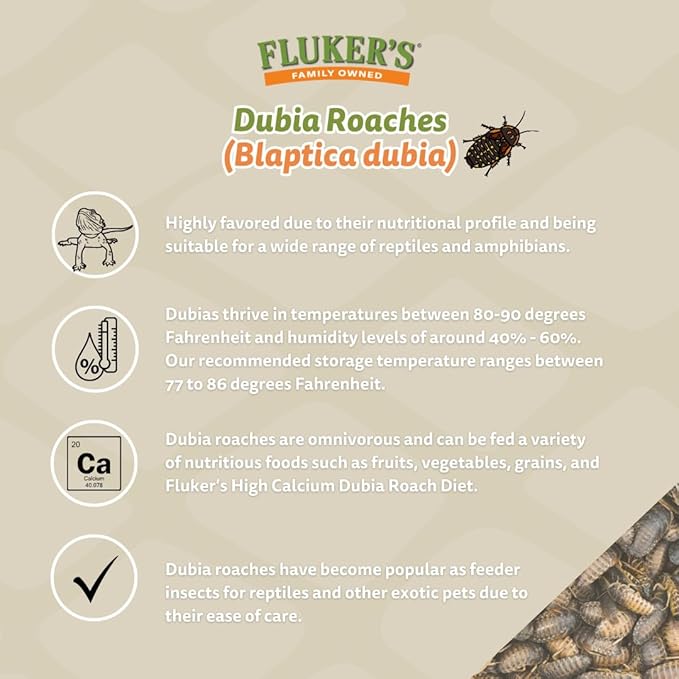 Fluker's Live Dubia Roaches, Premium Feeder Insects for Reptiles, Amphibians, and Arachnids (100 Count Large)