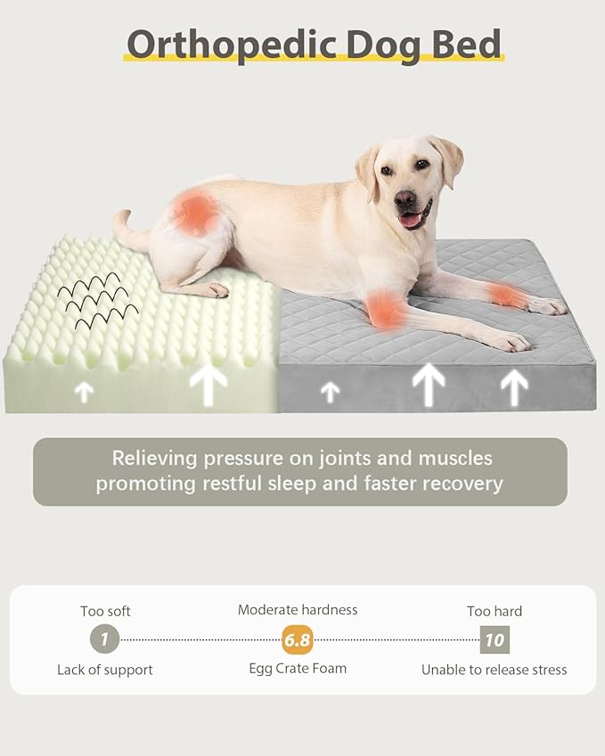 NUPIDA Jumbo Dog Bed for Extra Large Sized Dog Orthopedic Pet Bed with Removable Washable Cover and Non-Slip Bottom, 53x36 Inch, Light Gray