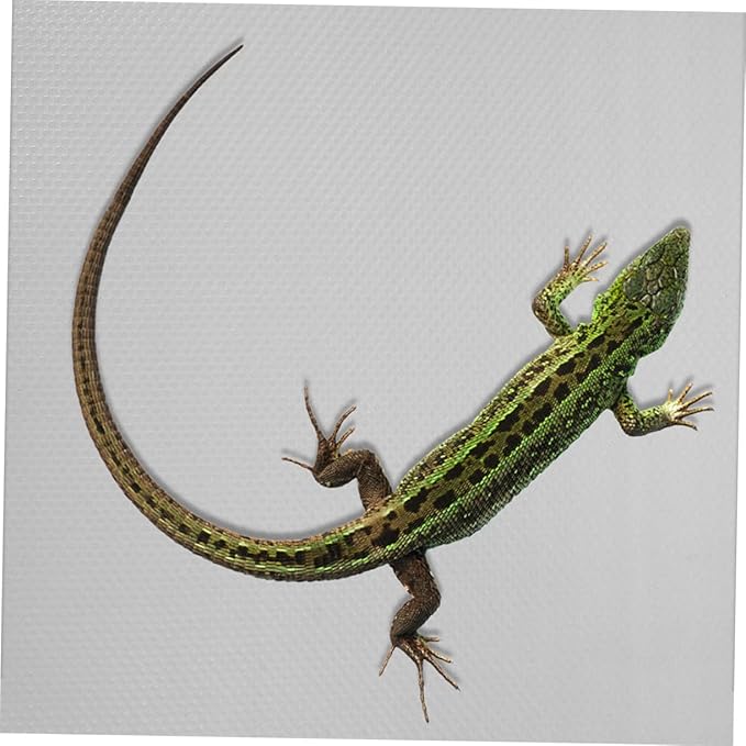 Eva Reptile Carpet Terrarium Substrate Liner Bearded Dragon Bedding Lizard Tank Mat Snake Terrarium Accessories and Gentle