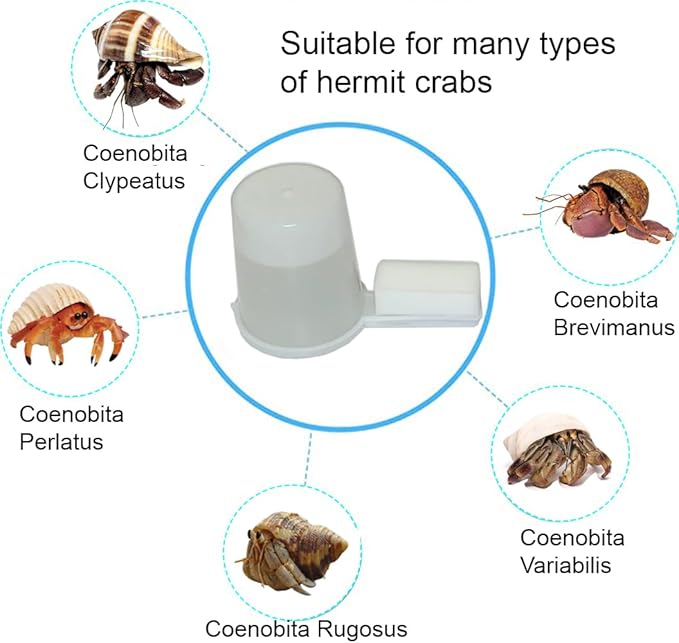 Hermit Crab Safe Water Cup with 3Pcs Hermit Crab Sponges, Automatic Hermit Crab Drinking Water, Hermit Crab Habitat Supplies, Hermit Crab Tank Decor, Hermit Crab Tank Humidity