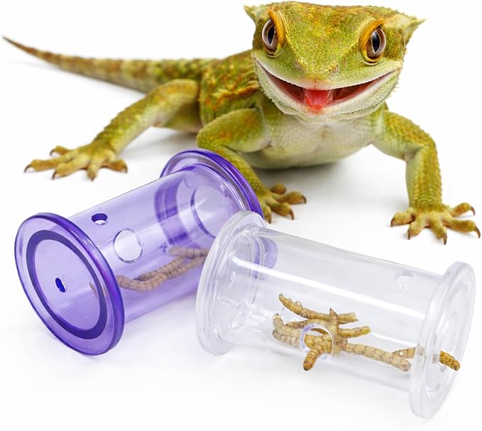 2Pcs Bearded Dragon Enrichment Tools, Bearded Dragon Accessories, Transparent Interactive Feeding Accessories for Reptile, for Beards Dragons and Other Small Reptile