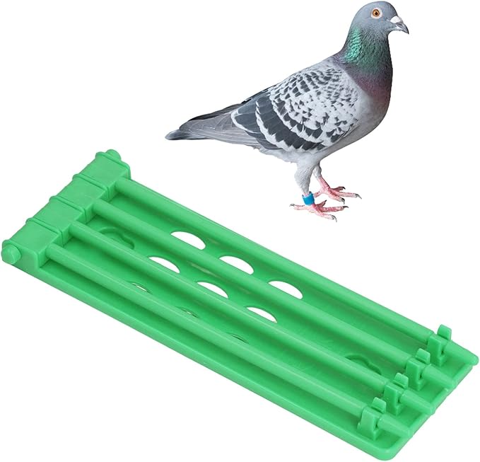 Atyhao 4Pcs Bird Leg Rings Stand, Plastic Pigeons Foot Rings Holder Bird Training Frame Pigeons Supplier Homing Pigeons Accessory(Green)