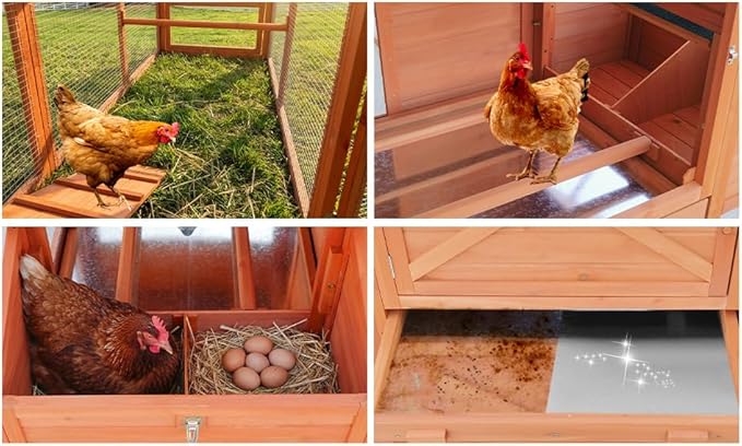 XLarge Chicken Coop with Nexting Box and Run Premium Poultry Cage with Waterproof Roof and Tray Spacious Wooden Chicken House Size for Backyard Small Animals 3-4 Chickens and Duck Orange 83"