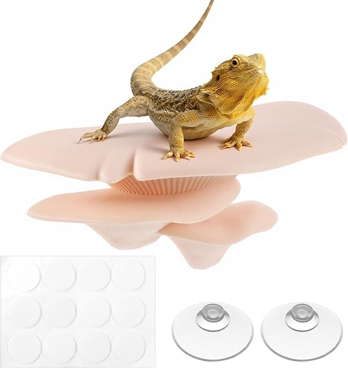 Mushroom Decor Climbing Hold Kit Realistic Terrarium Plants Concealed Jumping Spider Habitat Enclosure Decorate Accessories for Leopard Geckos Crested Geckos Tree Frogs Small Lizards