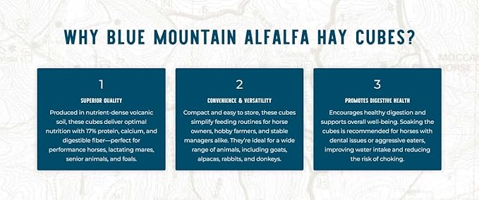 Blue Mountain Hay High-Altitude Alfalfa Hay Cubes Easy Flake Box (50 lb),Leafy Texture, High Protein Fiber & Minerals, Easy Storage Feed Solution for Homestead Use