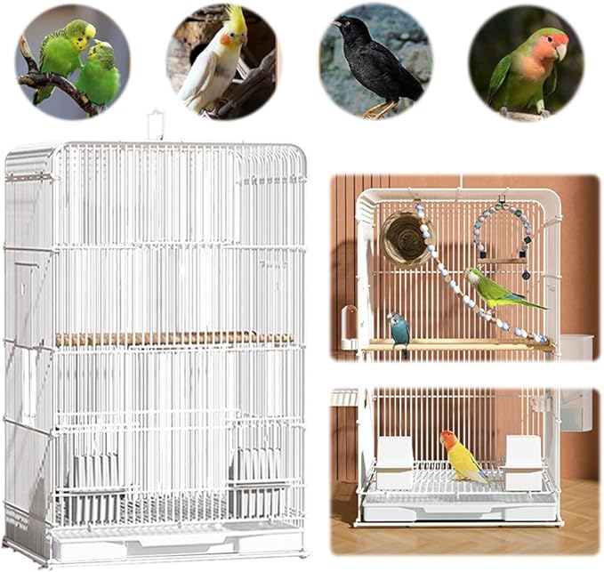 Portable Bird Travel Cage with Handle - Lightweight Parrot Carrier for Small Birds, Easy-Clean Removable Tray for Indoor/Outdoor Home Use