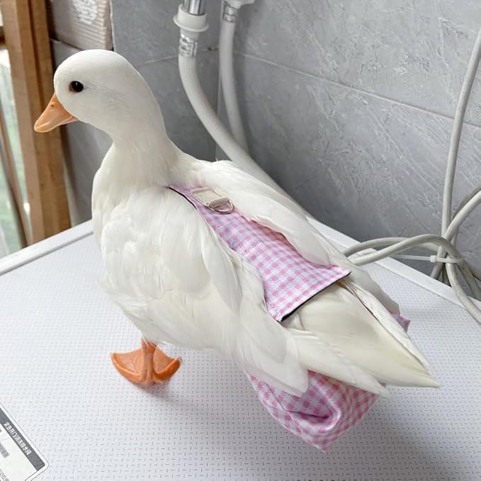 Duck Diapers, Chicken Diapers, Special Diapers for Poultry, Chicken, Duck and Goose Waterproof, Adjustable, Washable and Reusable Diapers，Poultry Supplies, Duck Supplies (6.06LB-8.82LB)