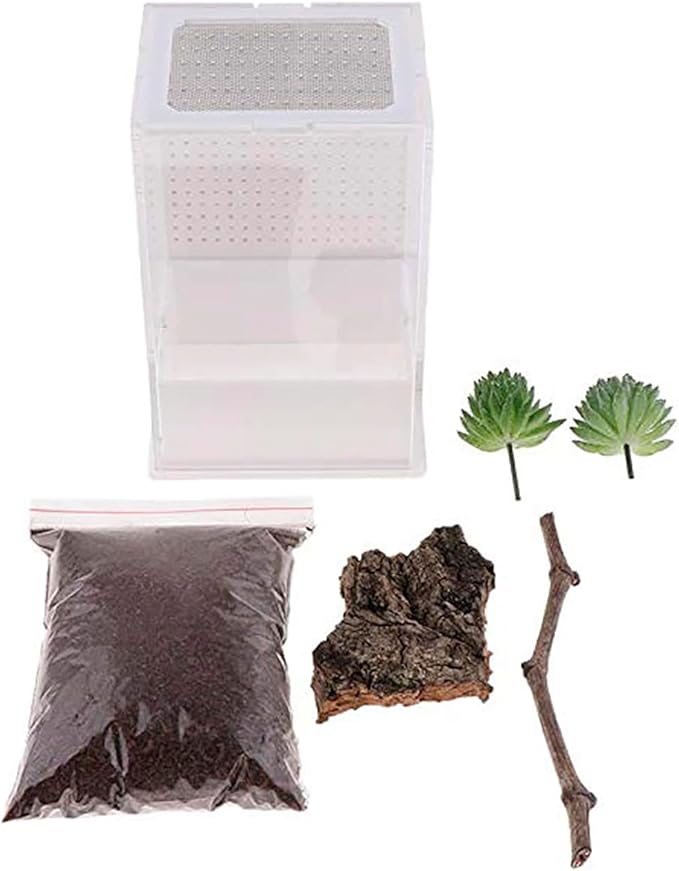 OMEM Reptile Breeding Box, Insect Incubator, for Orchid Mantis, African Phantom Mantis, Reptile Resting Habitat and Entertainment