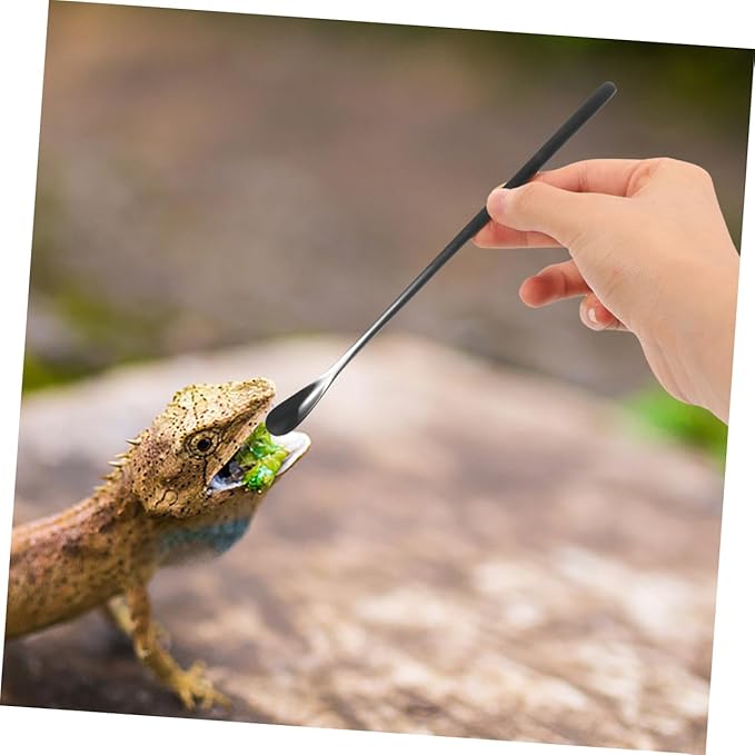 BESPORTBLE 3Pcs Reptile Feeding Spoon Set Long Handle PET Food Scoop for Lizard and Small Animals Reusable Feeding Tool for Wet Food for Reptile Supplies