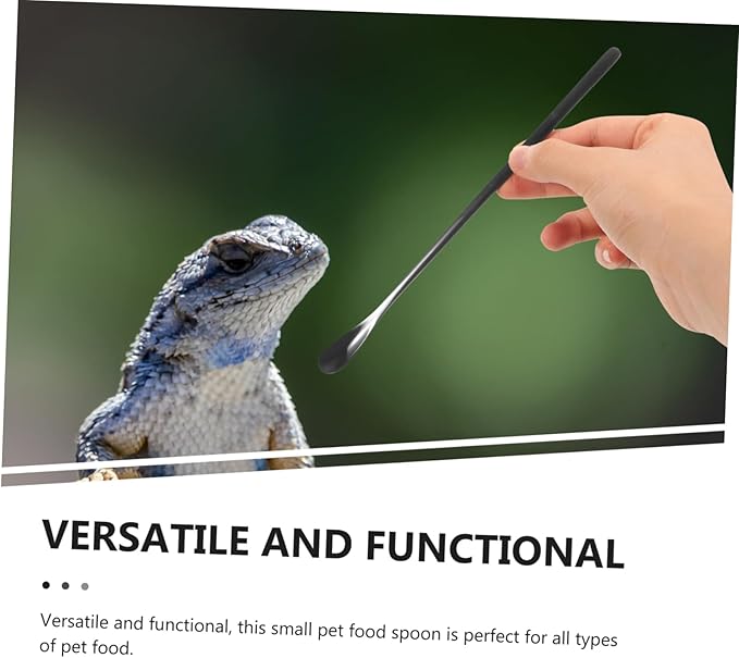 HANABASS 2pcs Stainless Steel Reptile Feeding Spoon Small Pet Food Scoop for Lizards Reptiles Easy Clean Portable