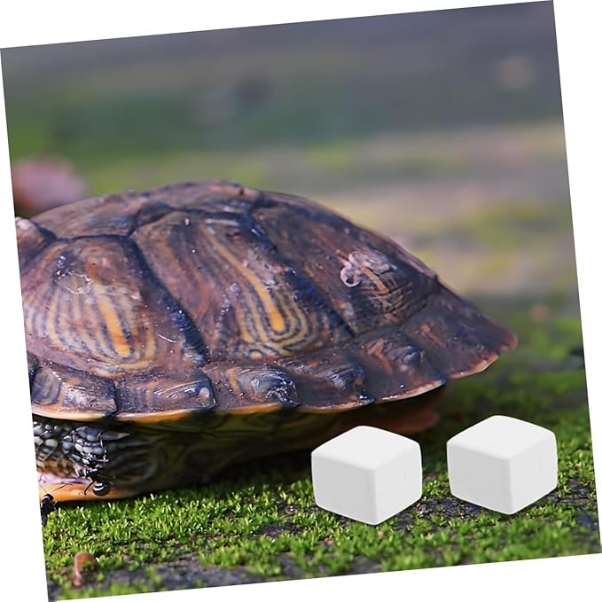 POPETPOP 12pcs Natural Reptile Mineral Block Enhance Pet Health Safe for Reptiles Crabs