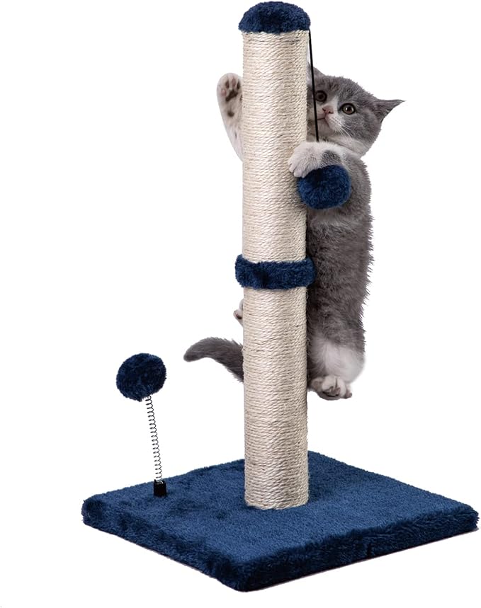 MECOOL Cat Scratching Post Premium Basics Kitten Scratcher Sisal Scratch Posts with Hanging Ball 22 in for Kittens or Smaller Cats, Navy by MECOOL