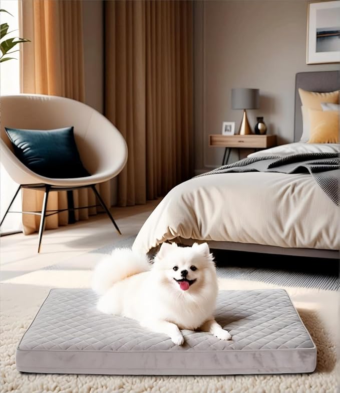 NUPIDA Orthopedic Dog Beds for Small Dogs Waterproof with Removable Washable Cover and Non-Slip Bottom, Quilting Dog Bed for Crate, 23x17 Inch, Light Gray