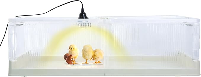 Large Transparent Chicken Brooder Box Chick Incubator Tortoise Habitat,30-50 Indoor Chicken Coop Chicken Tractor Quail cage,31.5inch Chick Brooder Kit