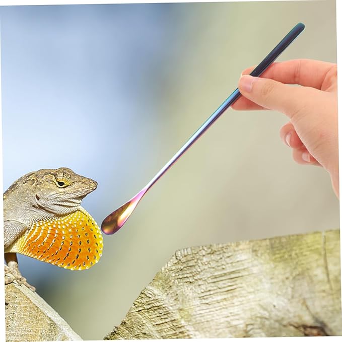 BESPORTBLE 3pcs Reptile Food Spoon Long Handle Small Pet Food Scoop for Tortoise Iguana
