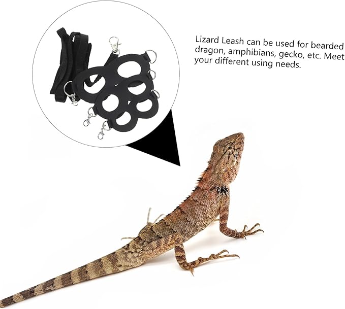 MERRYHAPY Lizard Leash and Adjustable Chest Strap Harness Set for Bearded Dragons Small Reptile Outdoor Walking Safety
