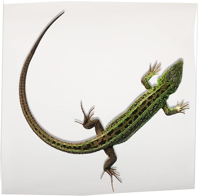 Happyyami Reptile Carpet for Terrarium Nonslip Reptile Liner for Bearded Dragon Lizard Snake and Turtle Habitats Easy to Clean