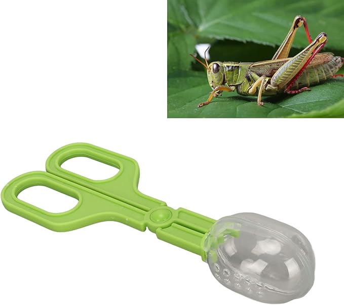 Reptile Feeding Clamp Poop Tongs Reptile Feeding Tool Reptile Poop Scoop with Vents for Tortoise Lizard Spider (Green) hamster poop scoop