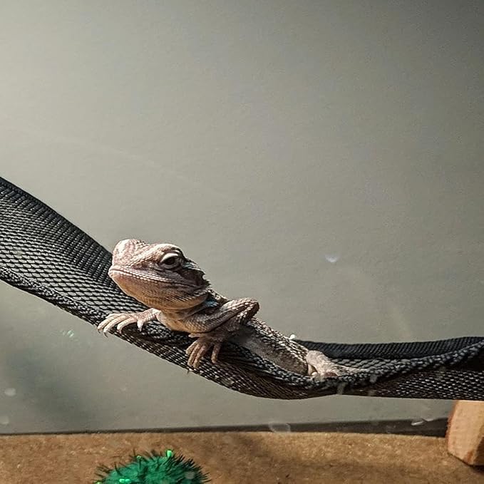 2 Pcs Bearded Dragon Lizard Hammock, Geckos Hammock, Breathable Mesh Reptile Hammock, Suitable for Iguanas, Anoles, Geckos, Snakes, Chameleon（Black）