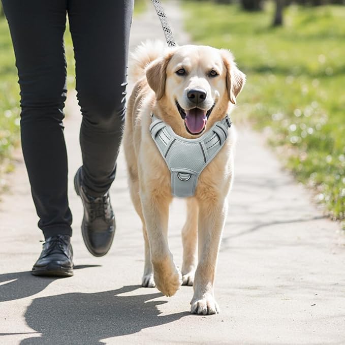 BARKBAY No Pull Dog Harness Large Reflective Dog Harness with Front Clip and Easy Control Handle for Walking Training Running with ID tag Pocket(Grey,M)